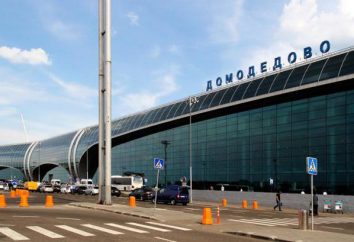 sala business di Domodedovo. VIP lounge di Domodedovo Airport. passeggeri di Business Class