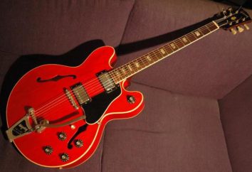 Gibson ES-335 Guitarra acústica: historia, características y hechos interesantes