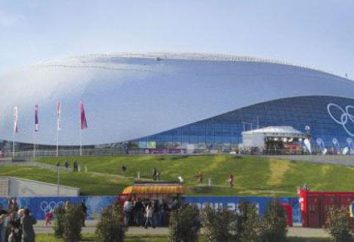 Palácio do Gelo Sochi "Big": a descrição de como chegar