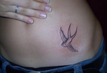 Ingoiare tatuaggio: significato e lo scopo