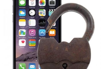 Apple ha rifiutato di rompere iPhone reo di aiutare FBI