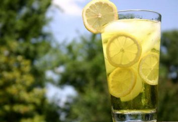 Wie zu Hause machen Limonade? Viele interessante Rezepte