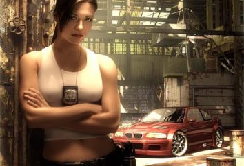 Need for Speed Most Wanted: das Passspiel