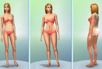 Guide: Wie ein Charakter in „Die Sims 4“ ändern