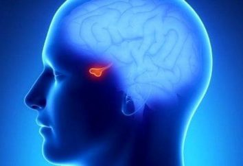 Prolactinoma przysadka mózgowa: przyczyny, objawy, diagnoza i leczenie. Przysadka mózgowa jest odpowiedzialna za co?