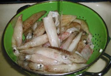 Cómo cocinar ensalada de calamar?