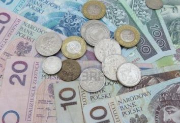 Zloty. Valuta in Polonia