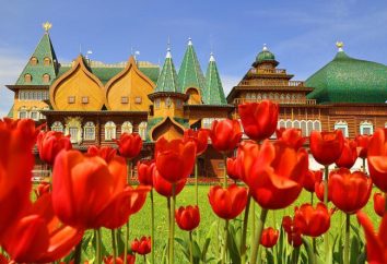 Kolomenskoye. Tsar Alexeï Mikhaïlovitch Palace à Kolomenskoye