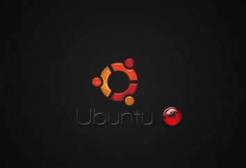 Ubuntu o Debian? Debian: entorno