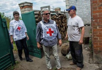 Humanitäre Hilfe für die Ukraine. Wo die humanitäre Hilfe zu bekommen. Humanitäre Hilfe für Flüchtlinge