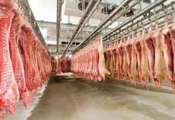 Sochi fábrica de carne: a história da produção, descrição e comentários