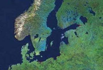 Baltischen Schild: Landschaftsformen, tektonische Struktur und Mineralien
