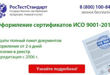 ISO 9001 – co to jest? ISO 9001 Quality System