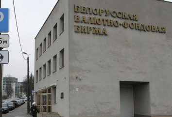 Bureau de change Belarus: Description et fonction