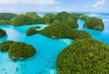 Palau – recensioni. Dove si trova Palau? Turismo, Tempo libero