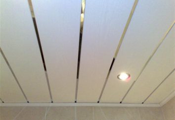 Come fare un soffitto di pannelli di plastica con le proprie mani: istruzione, pareri e installazione caratteristiche