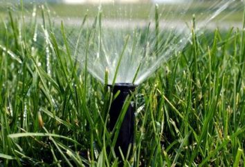 Sprinkler für die Bewässerung: einfach und elegant