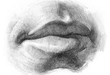 Portrait. Comment dessiner un crayon à lèvres en plusieurs étapes?