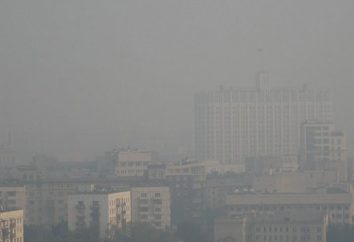 Che cosa è lo smog e ciò che è pericoloso?