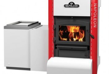 calderas de calefacción combinada (madera + electricidad) rasgos y características de