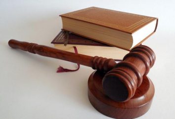 Sonderfertigung. GIC RF, Art. 262: „Die Fälle vom Gericht in speziellen Verfahren in Betracht gezogen“