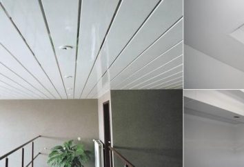 panneaux en PVC pour plafond. Quelques faits