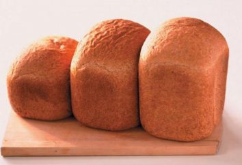 Panasonic Breadmaker: descripción, instrucción