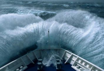 Drake Passage: opis, zdjęcia