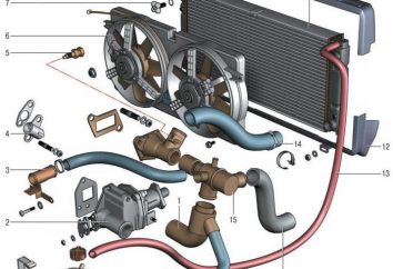 "Chevrolet Niva": das Kühlsystem. „Chevrolet Niva“: das Gerät Kühlsystem und mögliche Störungen