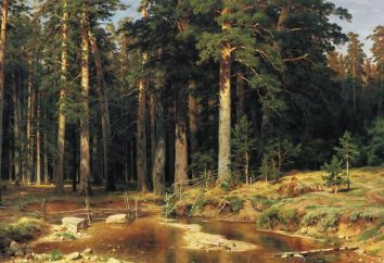 "Nave Grove" Shishkin – Descrizione dipinti