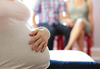 Surrogate maternità – si tratta? Recensioni maternità surrogata in Russia