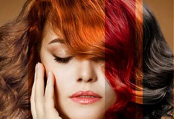 El mejor tinte para el cabello suave. el color del pelo suave: ¿Cómo elegir?
