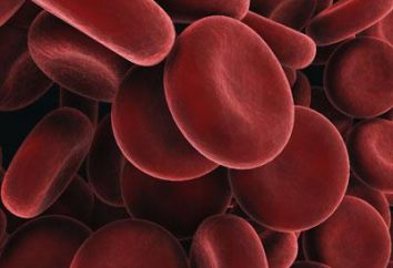 Czerwone krwinki są zwiększone u dziecka: jakie są powody