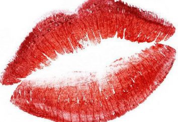 Lipstick "Lady" ("Avon"): comentarios, recomendaciones para su elección