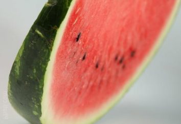 Watermelon Diät-Menü, und die erwarteten Ergebnisse