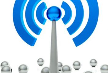 Sieci LTE – co to jest? Tryb, struktura i zasada działania sieci LTE