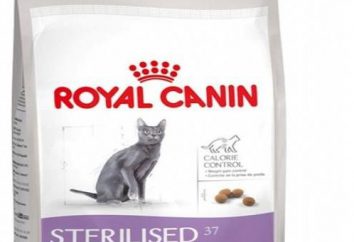 Dla kotów wykastrowanych „Royal Canin”: Główne cechy i opinii