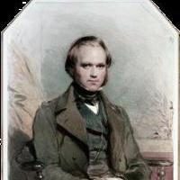 Naukowiec Charles Darwin: biografia, teorie i odkrycia. Charles Darwin: krótka biografia