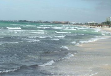 Temperatura wody w Tunezji – jakość letnie wakacje