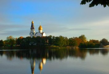 Miasto Sestroretsk: Opis zabytków