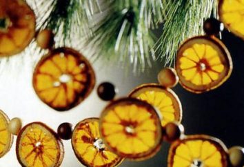 Jak osuszyć pomarańczy do dekoracji. Interesujący pomysł zastosowania suszone owoce cytrusowe