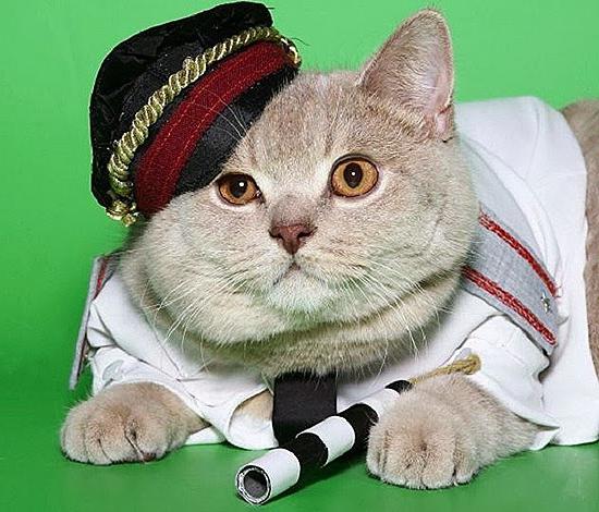 Resultado de imagen para rusik el gato policia