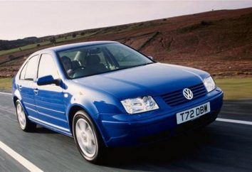 Przegląd „Volkswagen Bora” samochód
