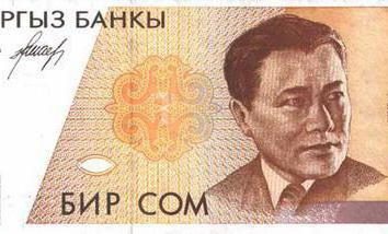Kirgistan Waluta: opis i historia