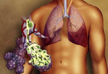 Skuteczne leczenie zapalenia płuc w domu