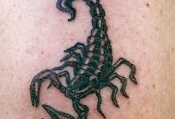 Modne tatuaże: Tatuaż skorpiona