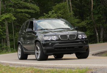 Zużycie paliwa na 100 km w BMW: olej napędowy lub benzyna?