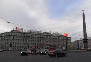 Perswazja Suworowa – największa autostrada w Petersburgu