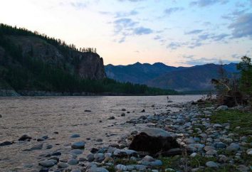 Indigirka to rzeka na północnym zachodzie Yakutii. Opis, żywność, dopływy