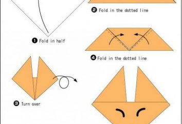 Fox-origami: klasa mistrza w montażu